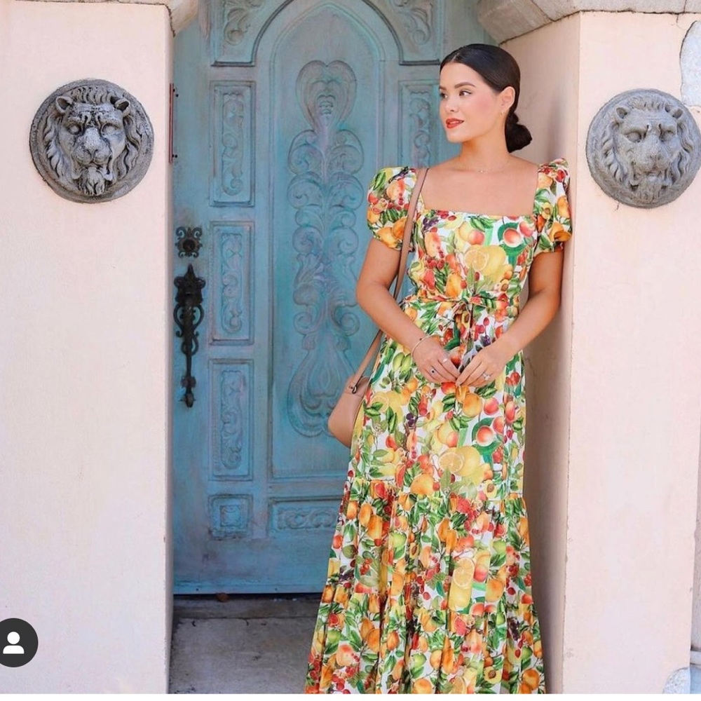 Antonio Melani
Charlotte Citrus Print Maxi Dress Size 4